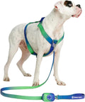 No Pull Dog Harness for Large Dogs - Heavy Duty Lime Wave M