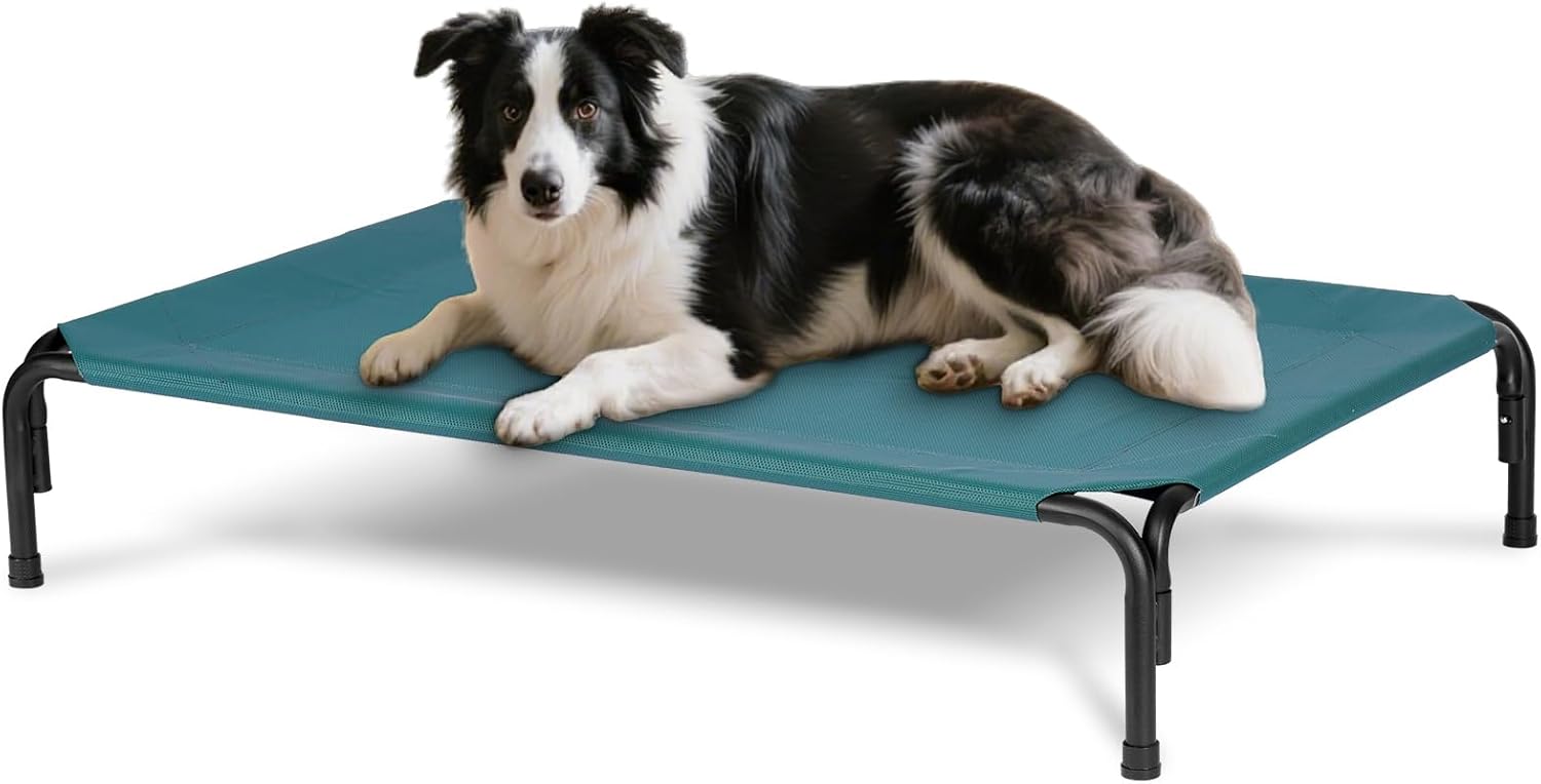 Elevated Dog Bed for Outdoor Large Raised Dogs Cot for Training