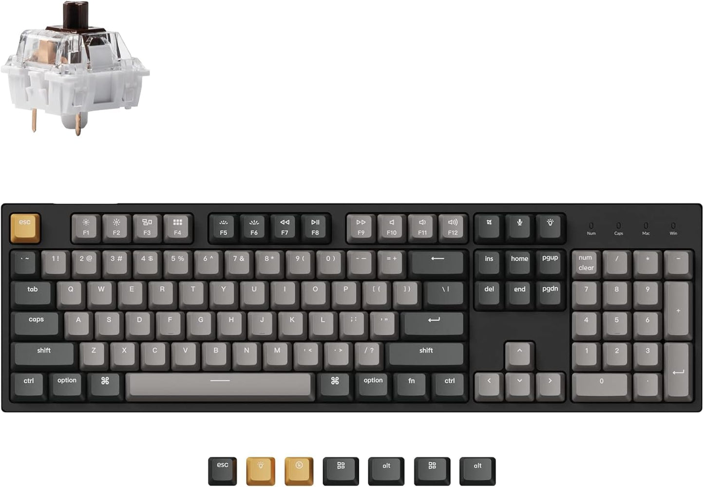 Keychron C2 Pro Wired Mechanical Keyboard with Custom Features