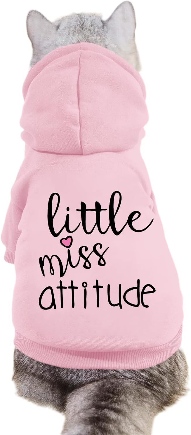 Pink Cat Hoodie for Sassy Pets!
