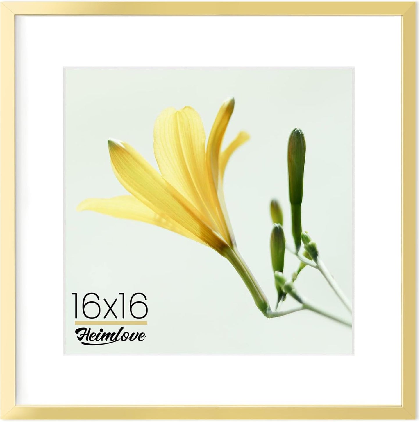 Heimlove 16x16 inch Gold Square Picture Frame for Photos