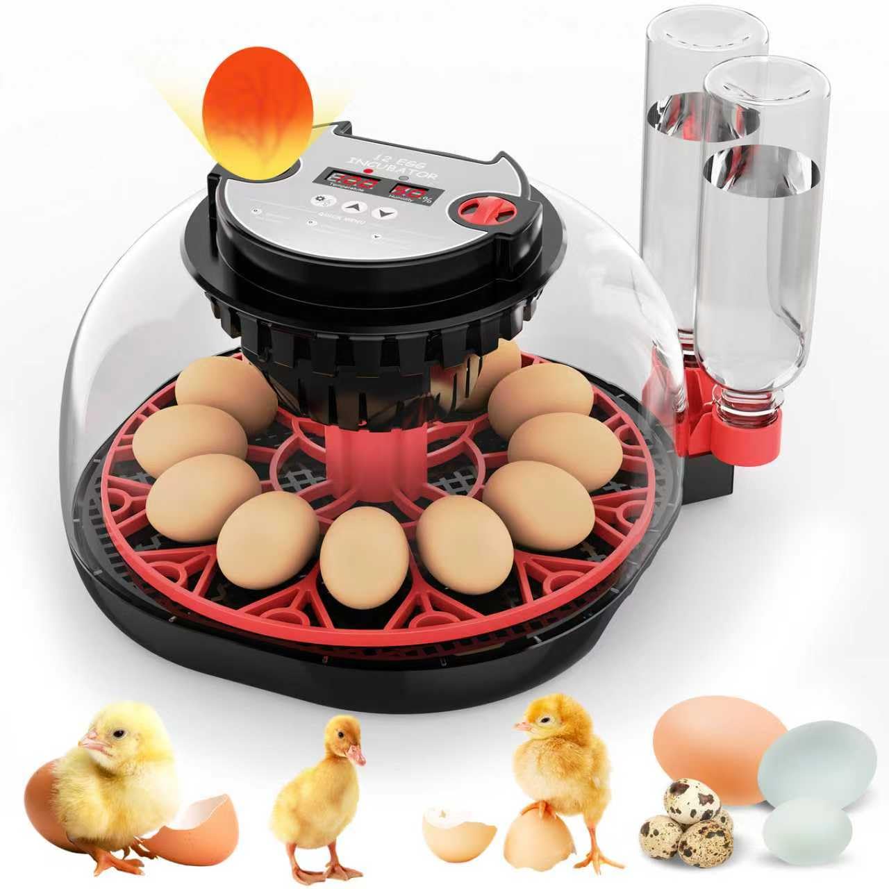 12 Egg Incubator with Automatic Turning and Humidity Control