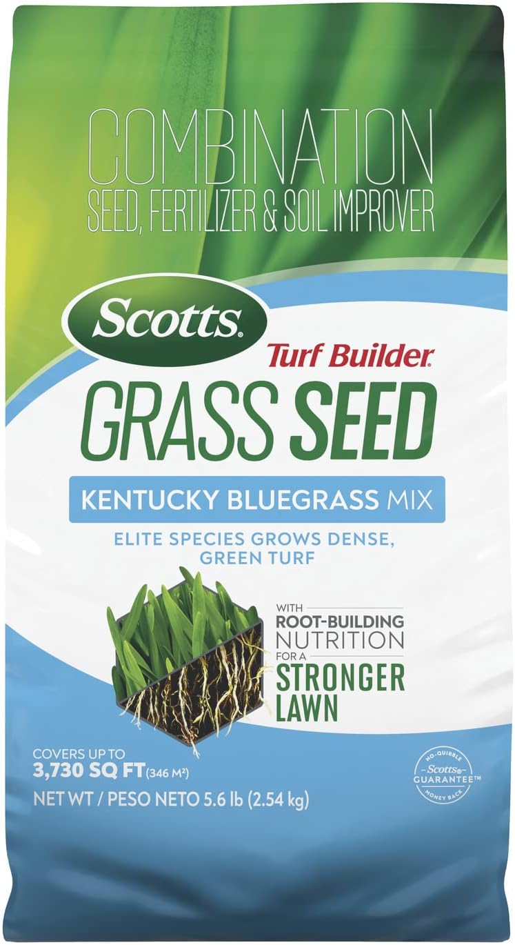 Scotts Turf Builder Grass Seed Kentucky Bluegrass Mix for Lush Lawns