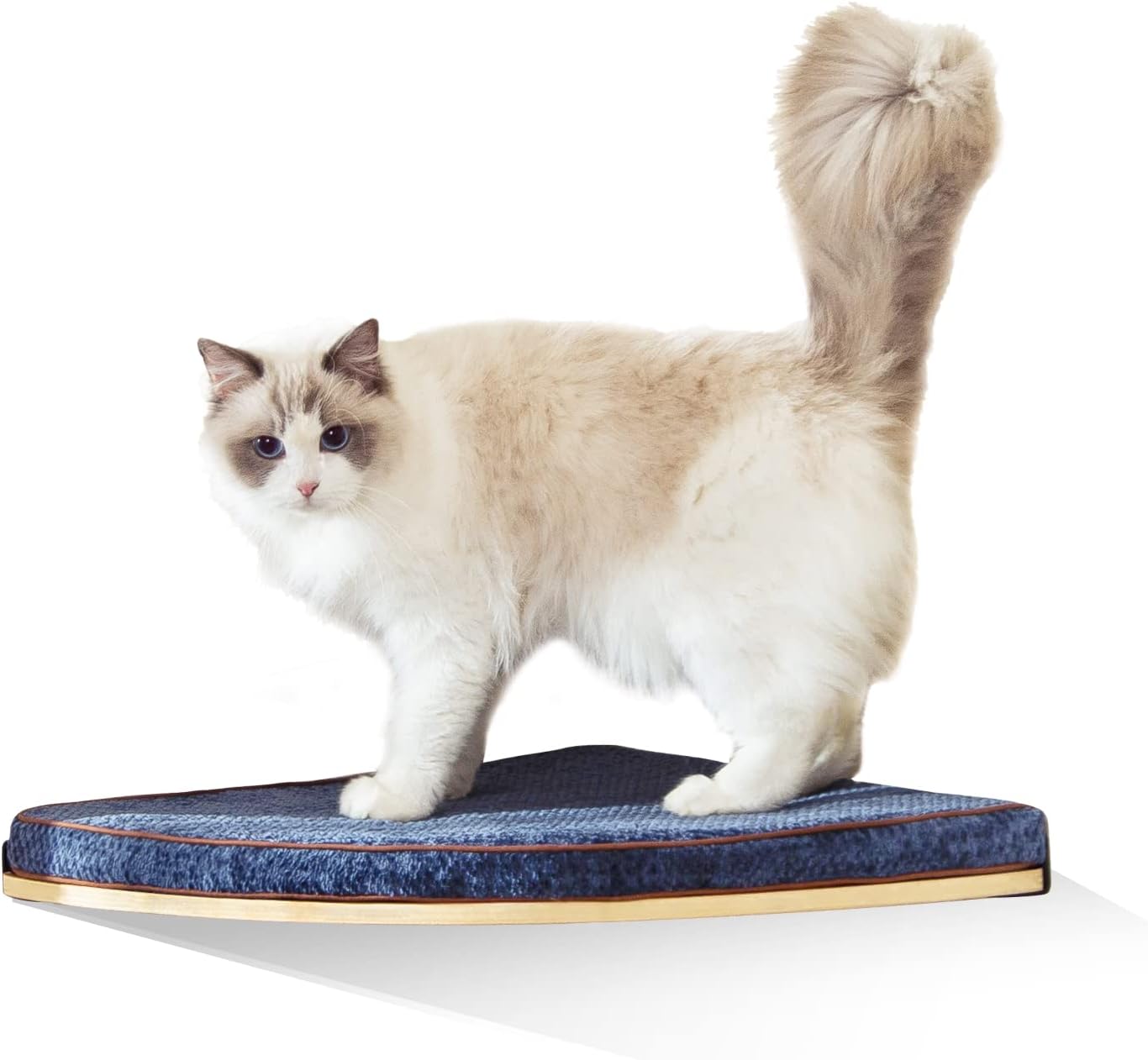 Wall Mounted Corner Cat Bed - Cozy Cat Shelf for Indoor Cats