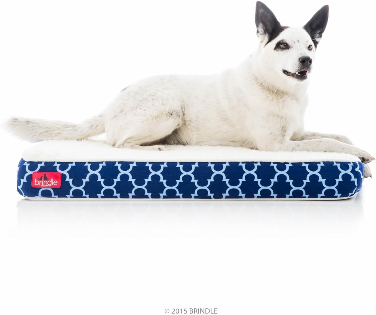 Brindle Waterproof Designer Memory Foam Pet Bed for Comfort