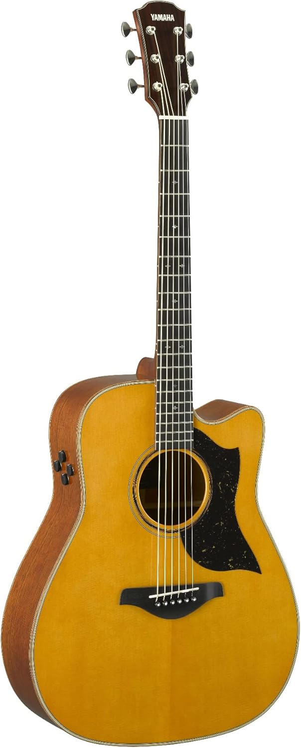 Vintage Natural Yamaha A5 Meters - Dynamic Cutaway