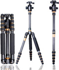 Q777C Carbon Fiber Compact Portable Tripod Monopod Stand