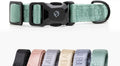 Fei & Eve MagEase Dog Collar Medium - Magnetic Buckle Ease