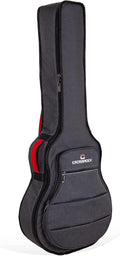 Protect Your Hollow Body Guitar in Style!