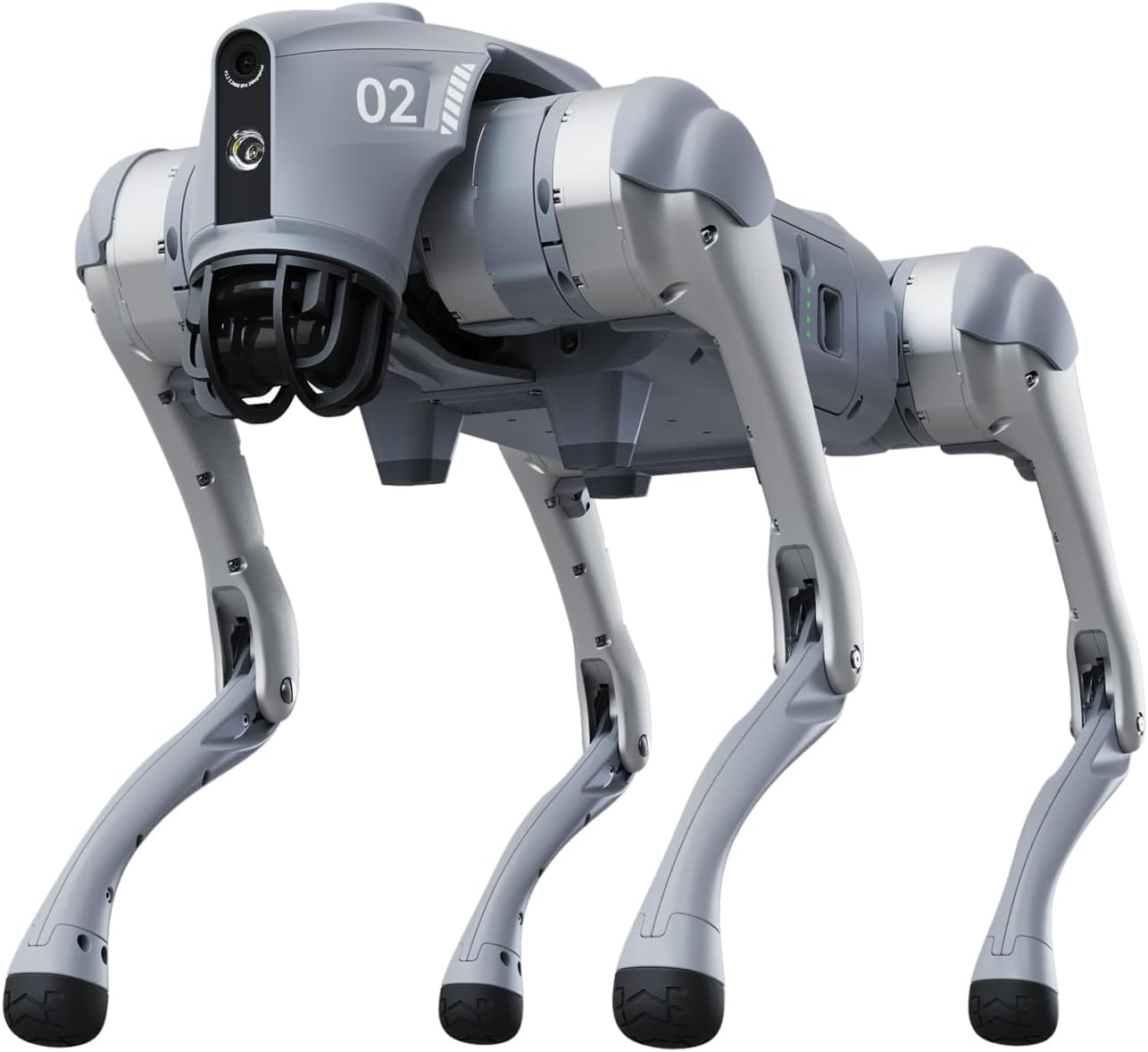 Go2 Pro Robot Dog: Advanced Robotics