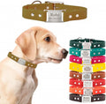 Personalized Dog Collar with Name Plate - Waterproof Biothane, Gold 1