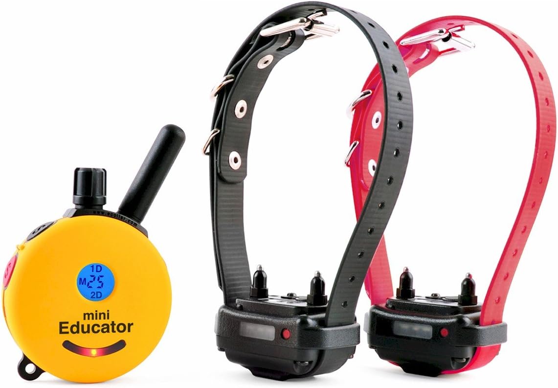 Humane Dog Training Collar with Remote for Small-Medium Dogs
