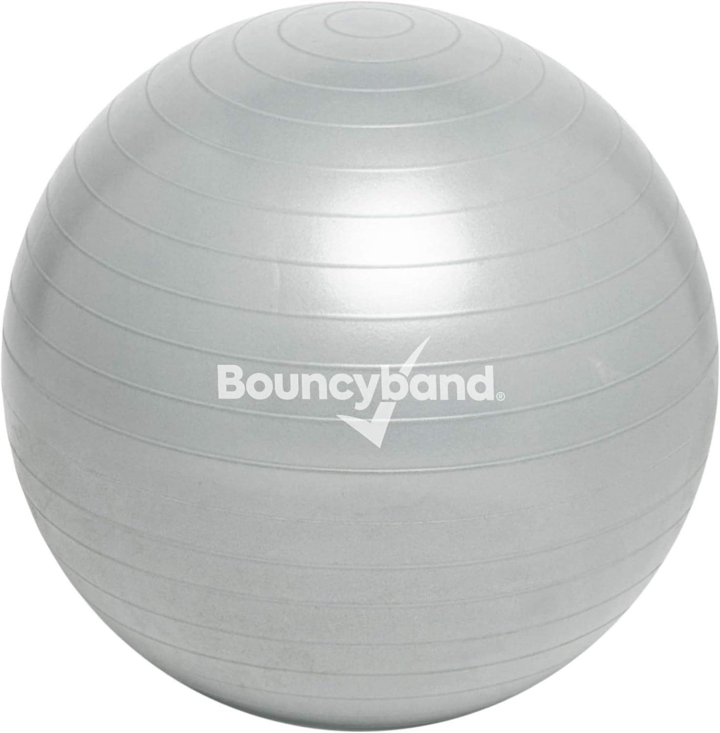 Focus Plus: No-Roll Weighted Balance Ball