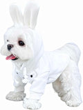 Easter Bunny Hoodie for Your Furry Friend