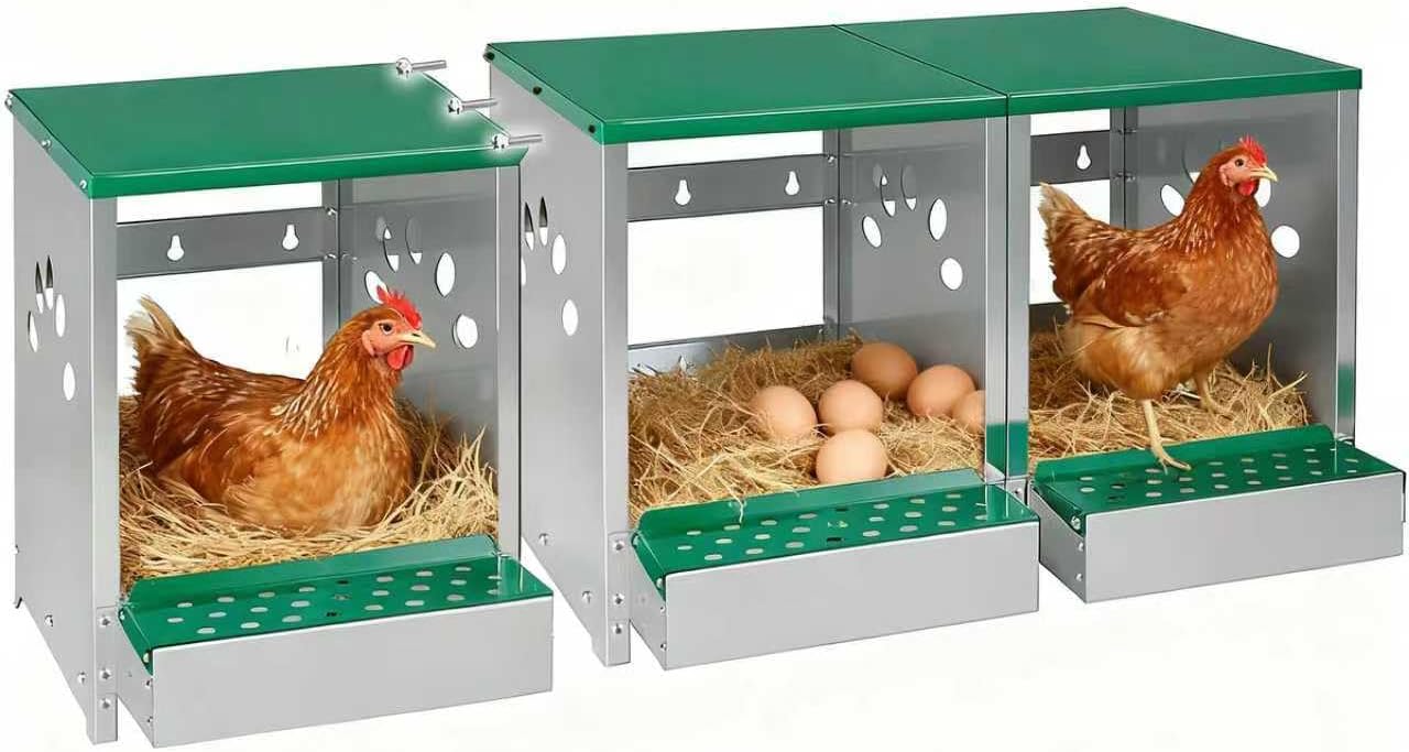 Chicken Nesting Box with 3 Compartments for Hens and Ducks