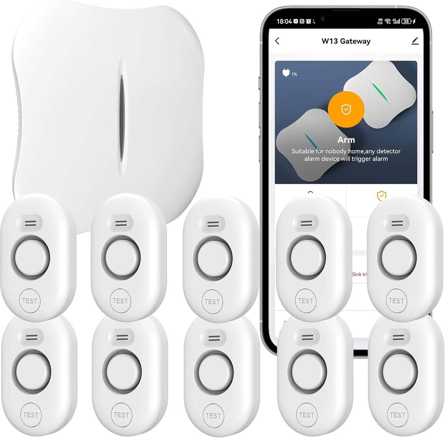 WiFi Water Leak Detector with App Notification for Home Safety