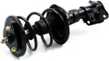 Front Right Complete Strut Assembly for 01-03 Acura EL & 03-05 Civic