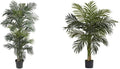 Nearly Natural Golden Cane Palm Trees Duo - Lush Indoor Accent