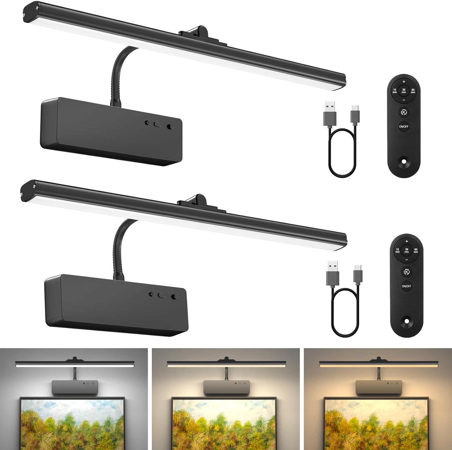 Lightbiz Wireless Rechargeable Picture Light with Remote