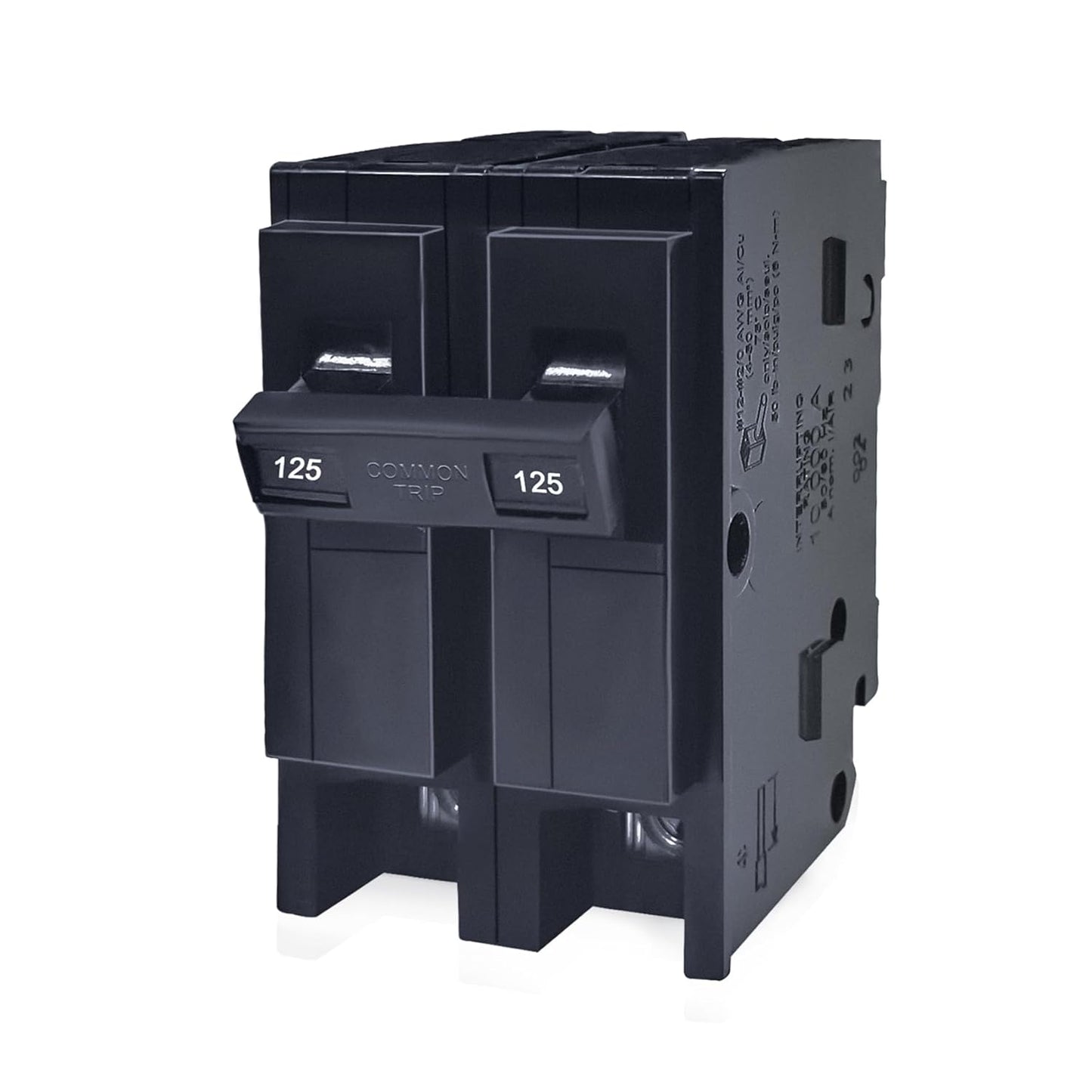 125 Amp 2 Pole Circuit Breaker for Reliable Electrical Safety