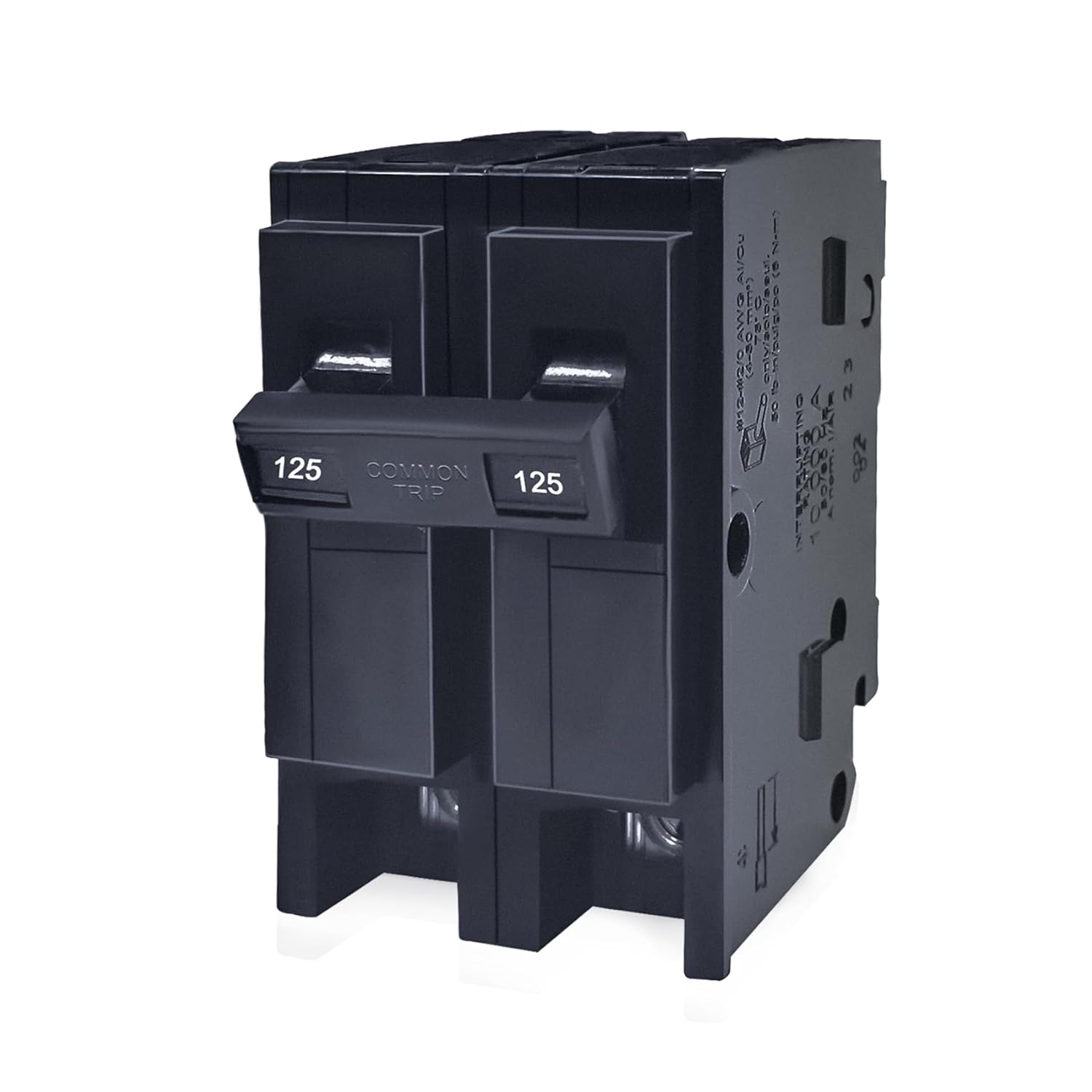 125 Amp 2 Pole Circuit Breaker for Reliable Electrical Safety