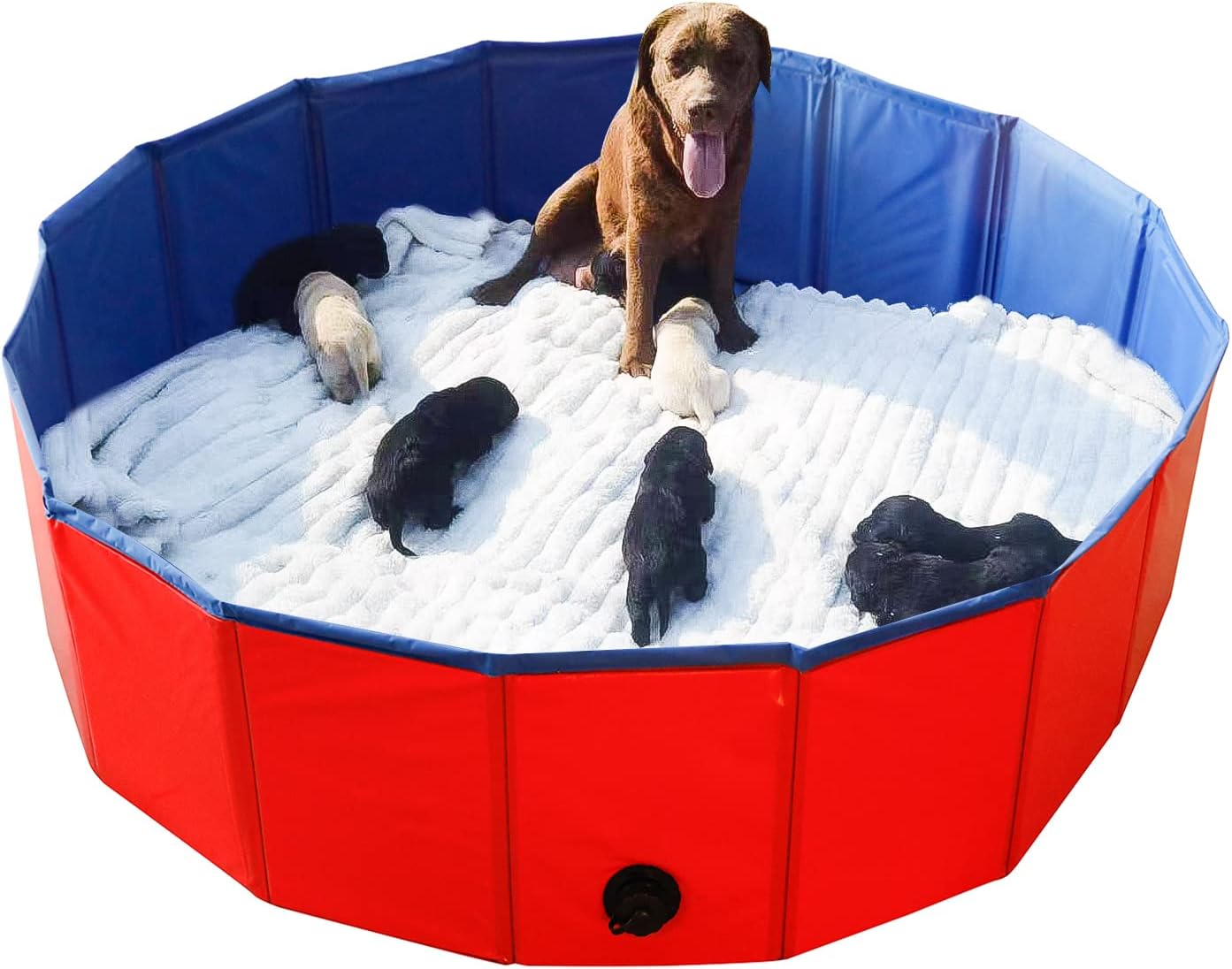 Artilife Foldable Dog Bath Pool - Portable Whelping Box for Dogs