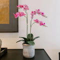 Faux Pink Orchid Plant with Grey Planter - Lasting Sculptural Blooms