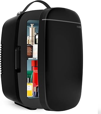 NXONE Mini Fridge 4L Portable Cooler and Warmer for Home Use