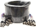 Seismic Audio 8 Channel XLR Snake 100 ft - Rugged Pro Audio Cable