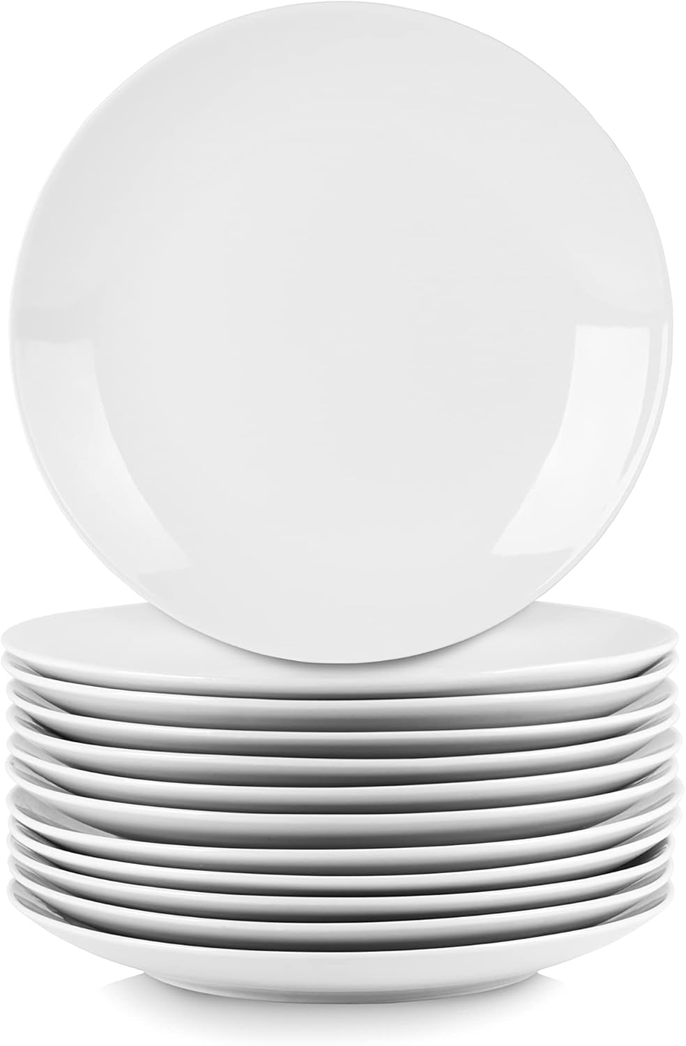 10.5 in Catering Coupe Dinner Plate Set of 12, White Ceramic