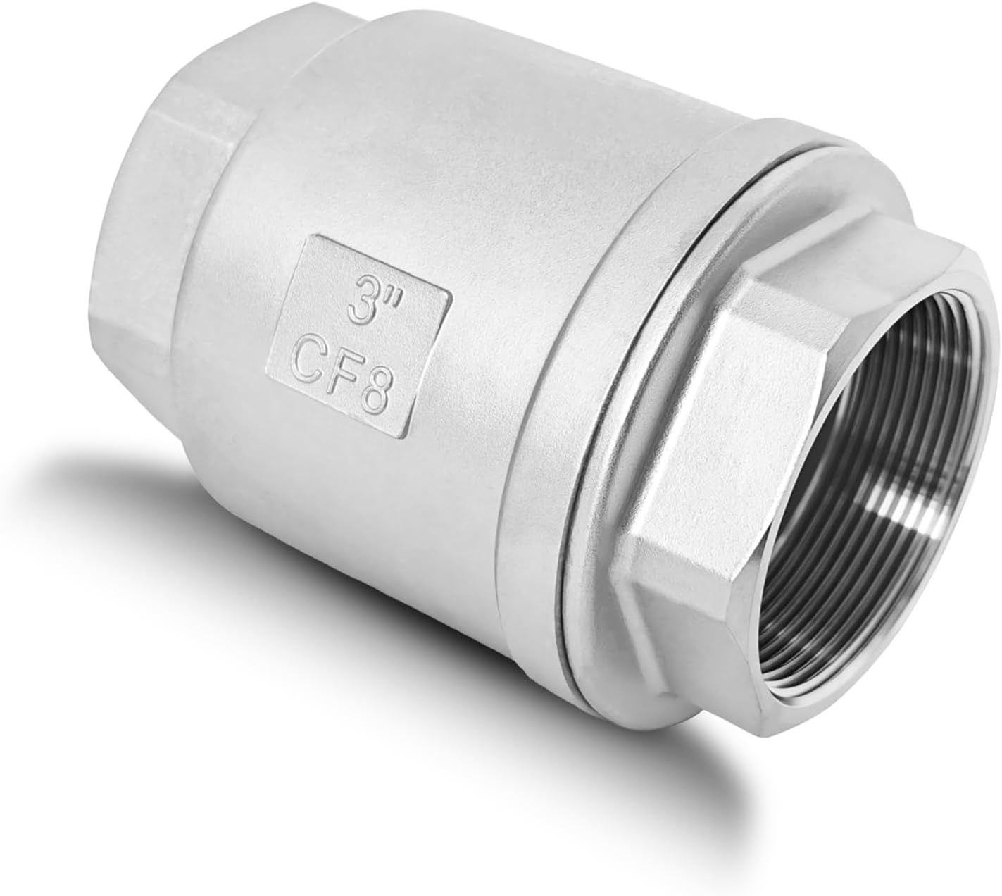 3 NPT Stainless Steel Spring Check Valve for One Way Flow Control