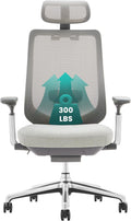 COLAMY Ergonomic Mesh Office Chair Designed for Maximum Comfort