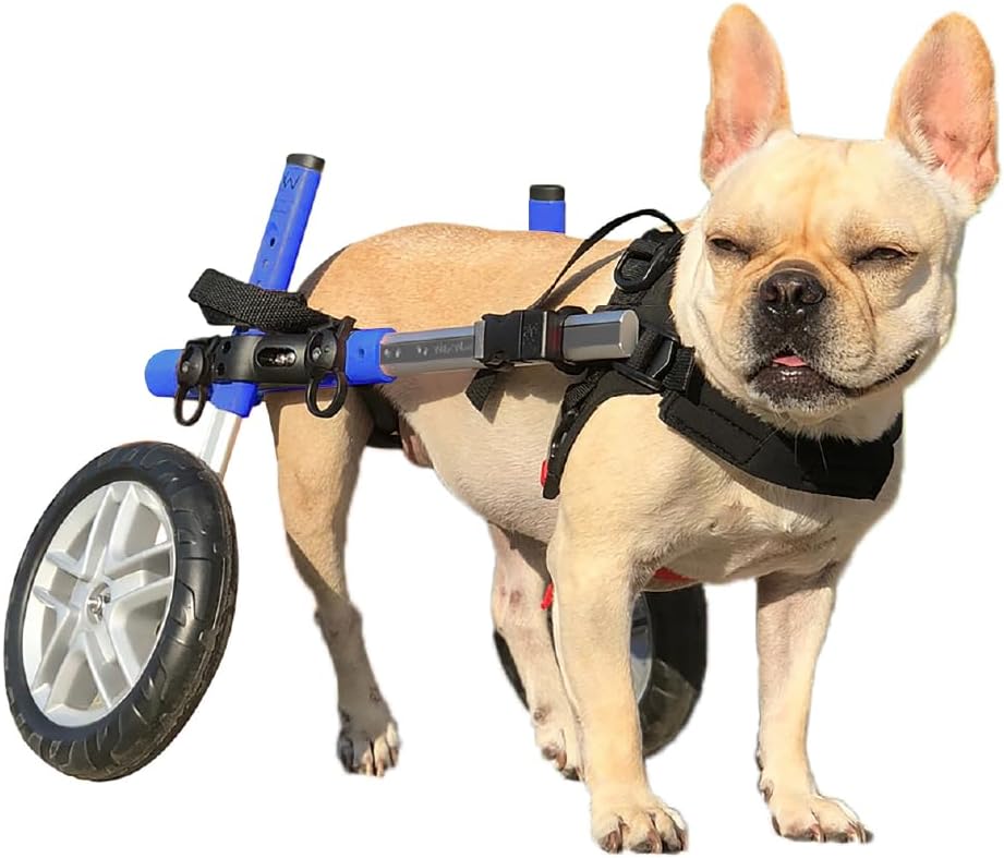 Walkin Wheels Small Dog Wheelchair for Back Legs Support
