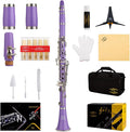 Ebonite Bb Clarinet with Case and Accessories - Great Starter