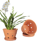 8 Inch Terracotta Orchid Pots with Holes and Saucers - Durable Clay