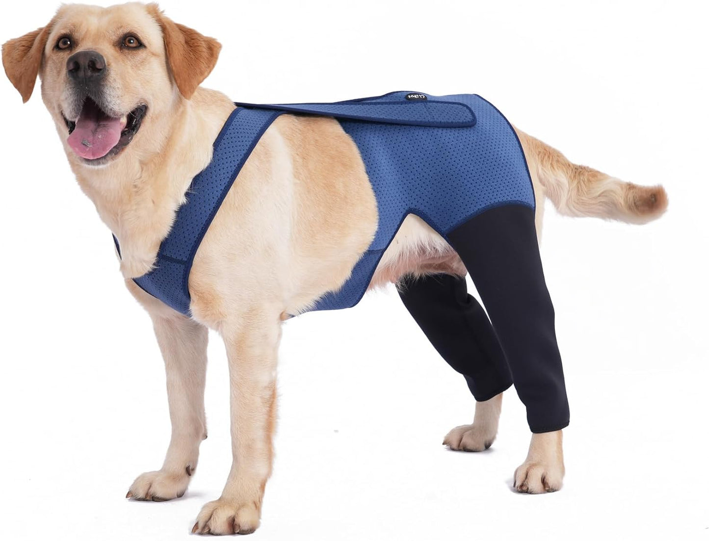 Dog Hind Leg Recovery Sleeve for Effective Healing and Comfort