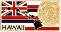 PinMart State Shape Flag Lapel Pin - Hawaii Flag State Pin