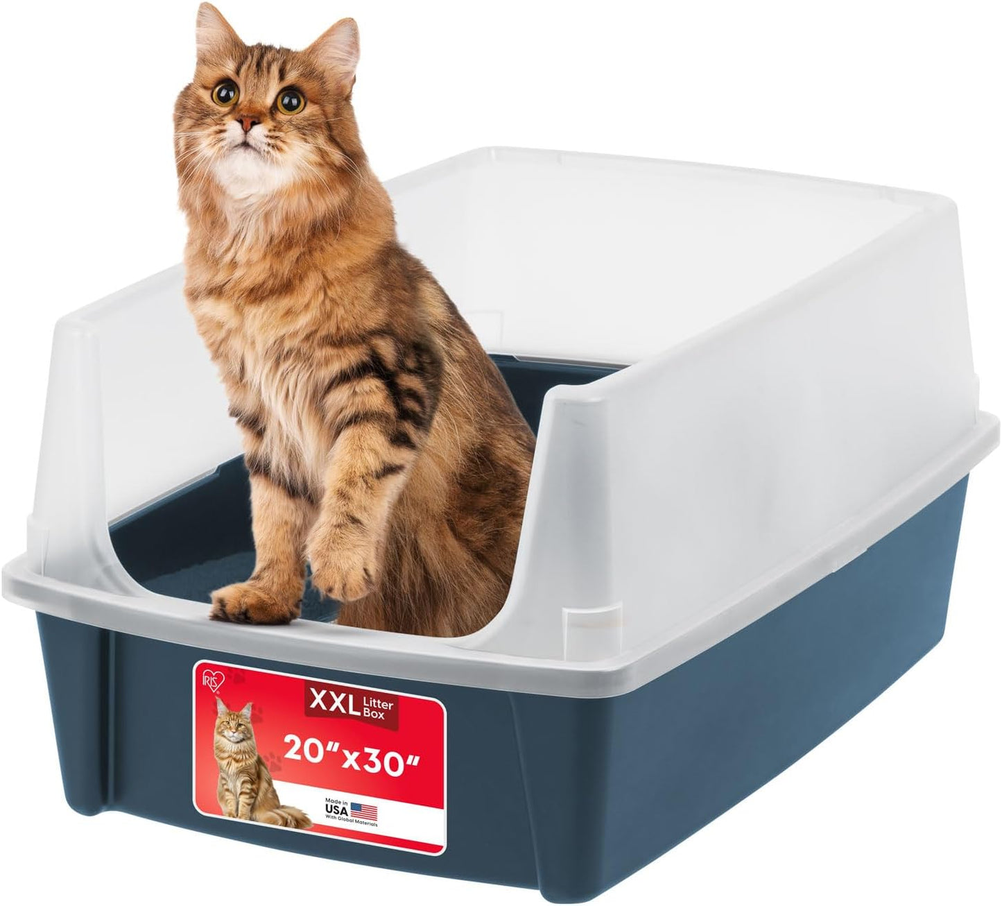 XX-Large Cat Litter Box for Big Cats and Multi-Cat Households
