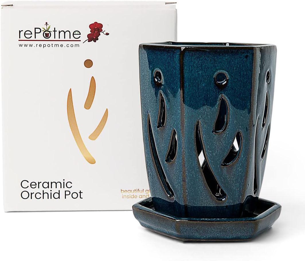 rePotme Orchid Pot - 4 x 6 inch Hexagon Ceramic Design
