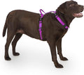 Non Restrictive Large Dog Harness Easy Walk Freedom No Pull