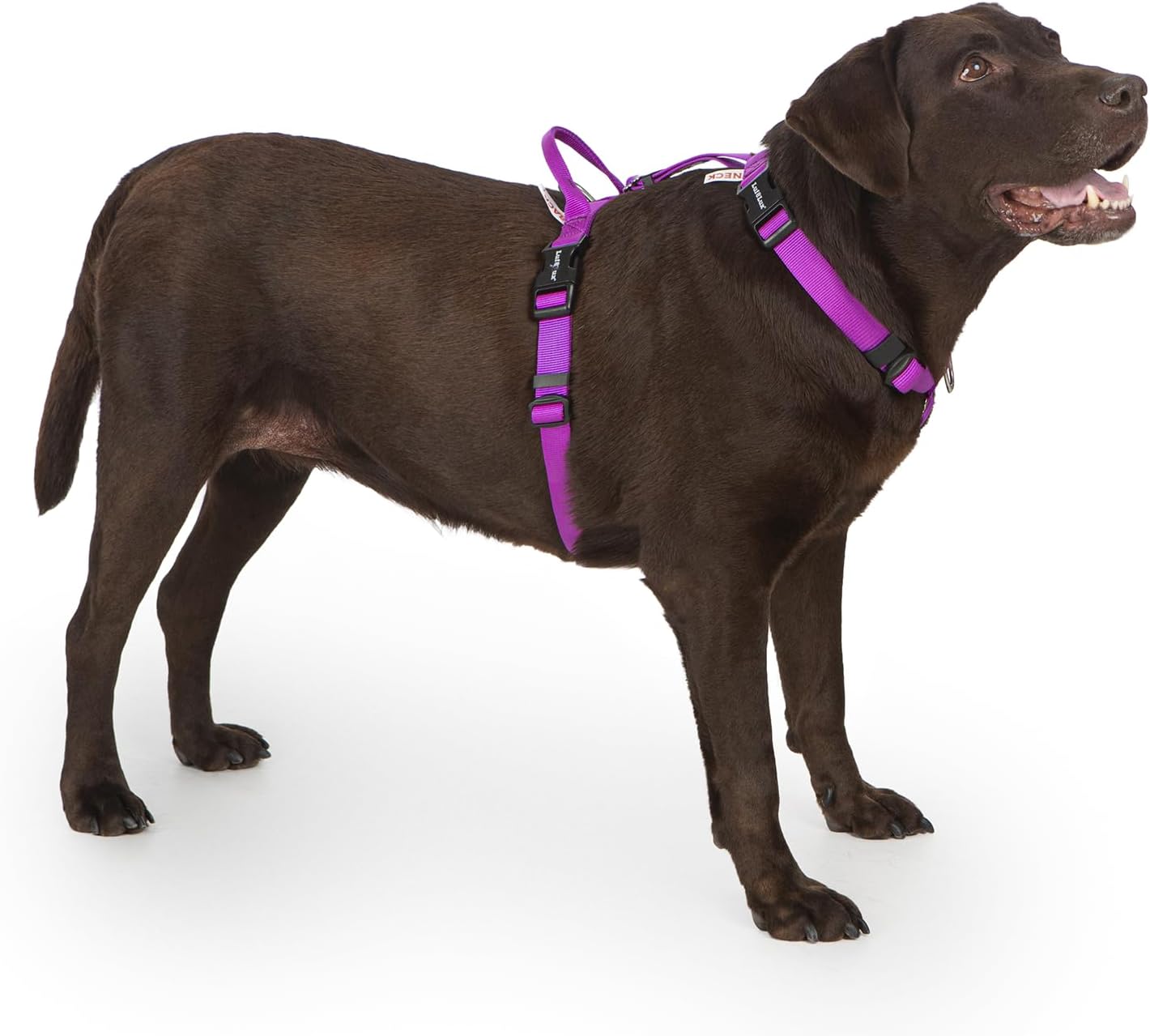 Non Restrictive Large Dog Harness for Easy Walks and Comfort