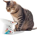 Necoichi Raised Cat Food Bowl Ceramic Elevated 15 Tilted - Fuji
