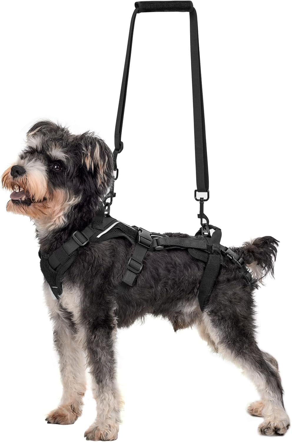OneTigris Dog Lift Harness for Small Dogs - Supportive & Safe