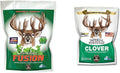 Whitetail Institute FUSION Deer Food Plot Seed Blend - High Protein