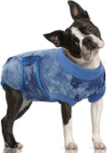 Recovery Suit for Dogs After Surgery - Comfortable Cone Alternative