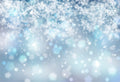 10x8ft Falling Snowflake Portrait Backdrop - Winter Photo