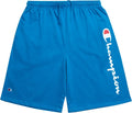 Champion Big and Tall Shorts for Men Side Script Jersey Athletic