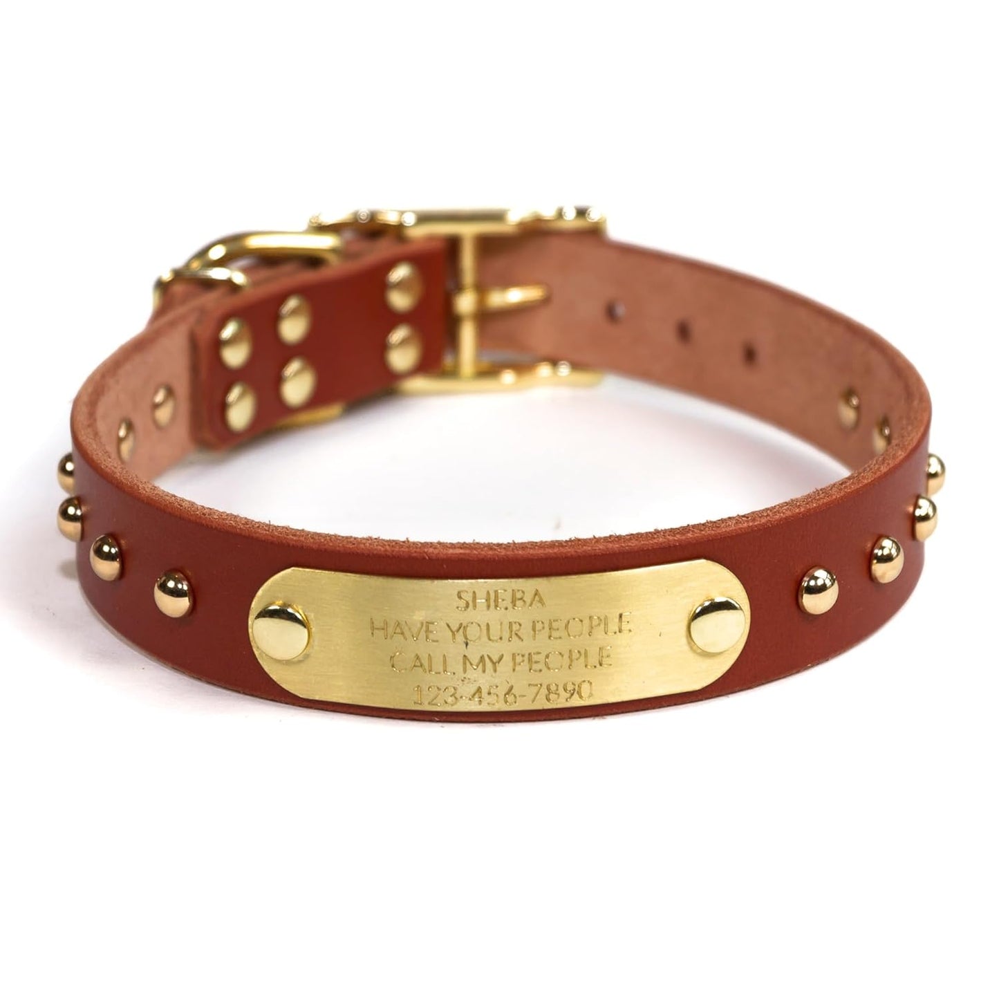 Handmade Studded Bridle Leather Dog Collar with Brass Nameplate