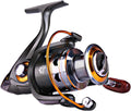 Sougayilang Spinning Fishing Reel - Smooth 11BB Performance
