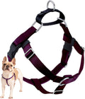 Freedom No Pull Dog Harness Burgundy - 1 in Adjustable Fit
